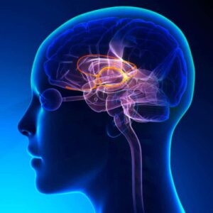 Coach your thoughts وجّه أفكارك