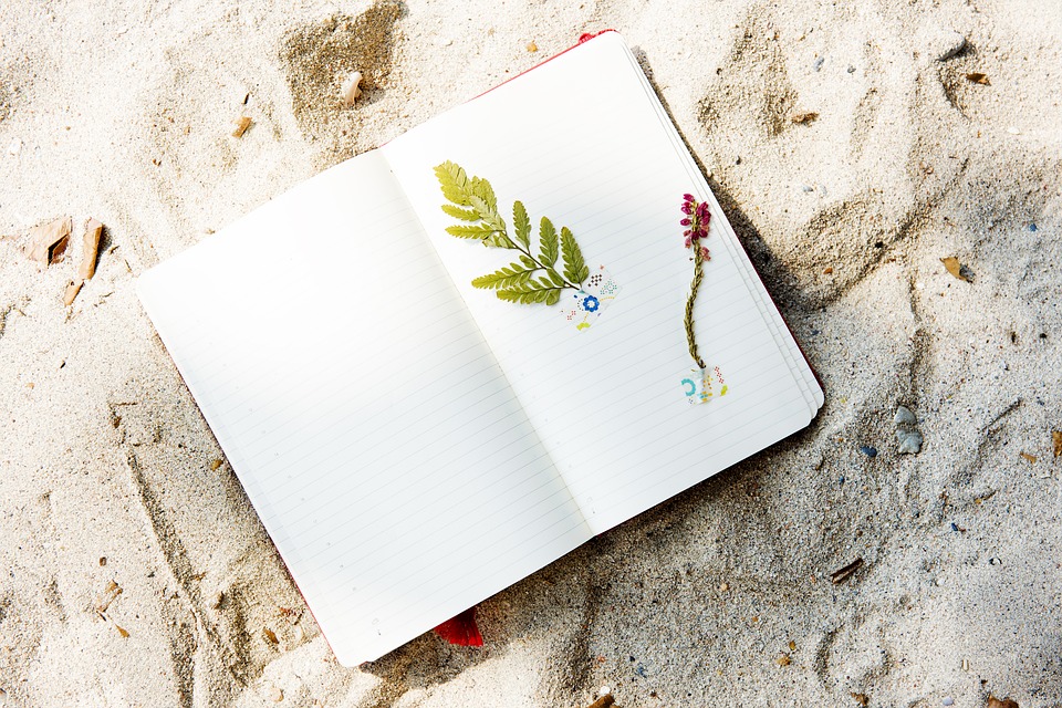 Beach Coast Craft Diary Flower Hobby Holidays